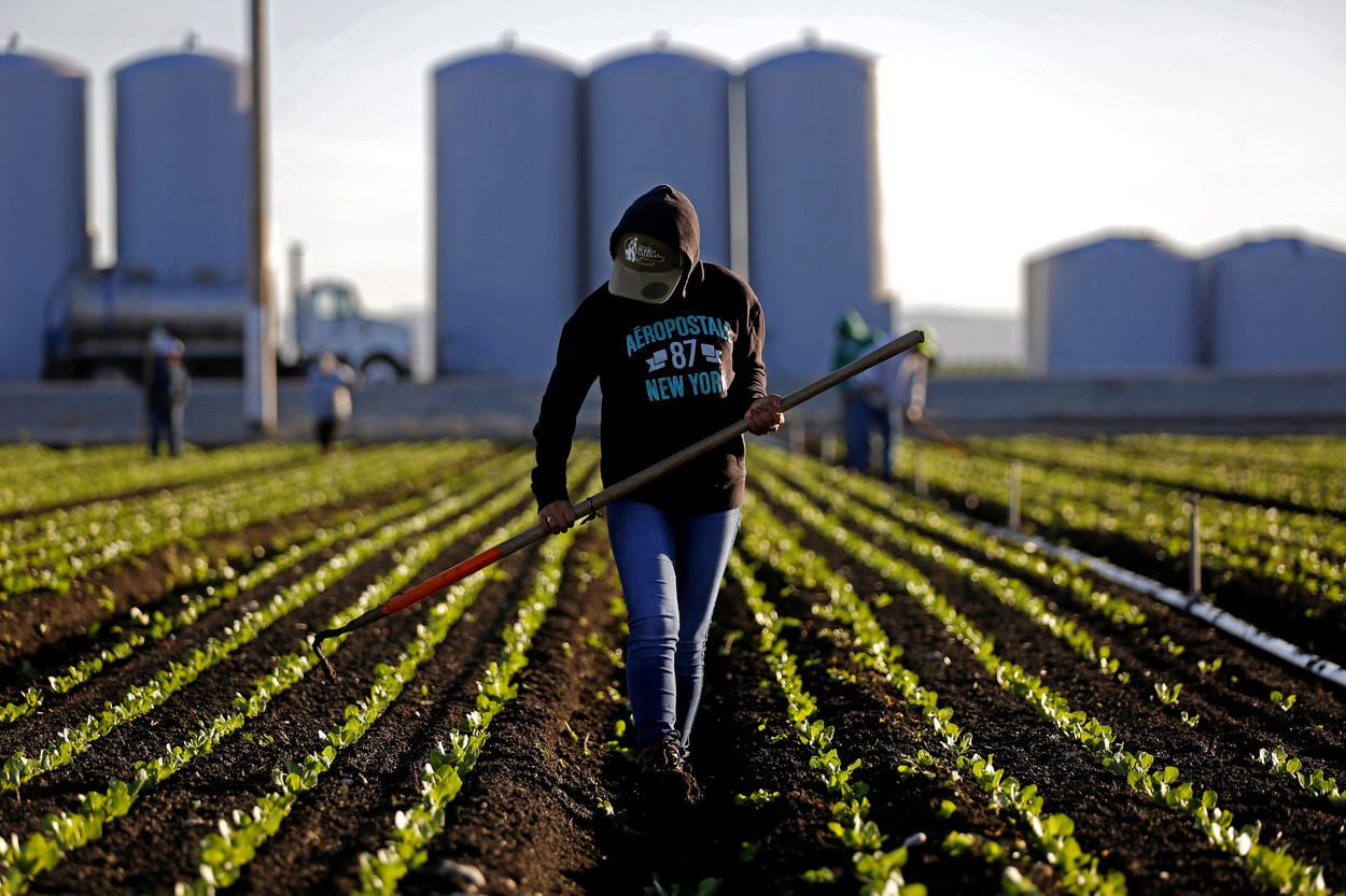 Could You Actually Graduate from High School? agriculture Central Mexico
