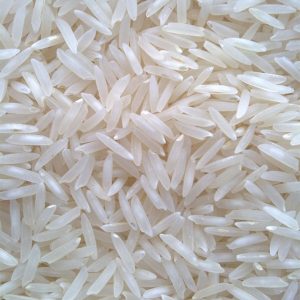 World Food Day Quiz Rice