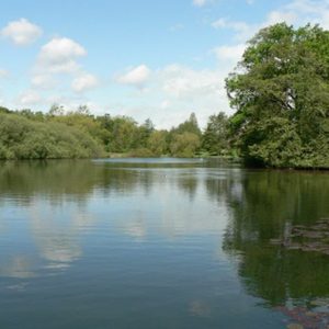 Could You Actually Graduate From High School? Quiz Lakes