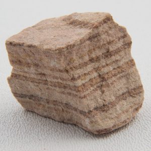 Could You Actually Graduate From High School? Quiz Sandstone