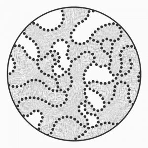 Could You Actually Graduate From High School? Quiz Contains chromatin