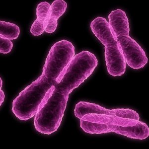Could You Actually Graduate From High School? Quiz Houses chromosomes