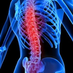 Not to Be Dramatic, But This General Knowledge Quiz Will Be the Hardest Thing You Do Today Spine