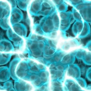 Could You Actually Graduate From High School? Quiz The amount of free energy in the cell