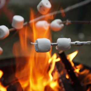 Hey, We Bet You Can’t Get Better Than 80% On This Random Knowledge Quiz Marshmallows