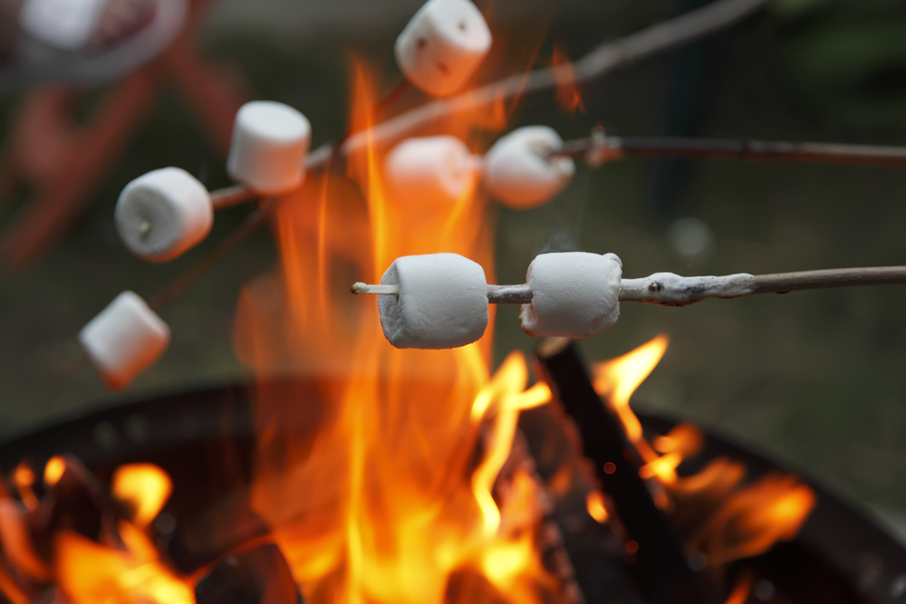 Autumn Trivia Quiz marshmallows bonfire