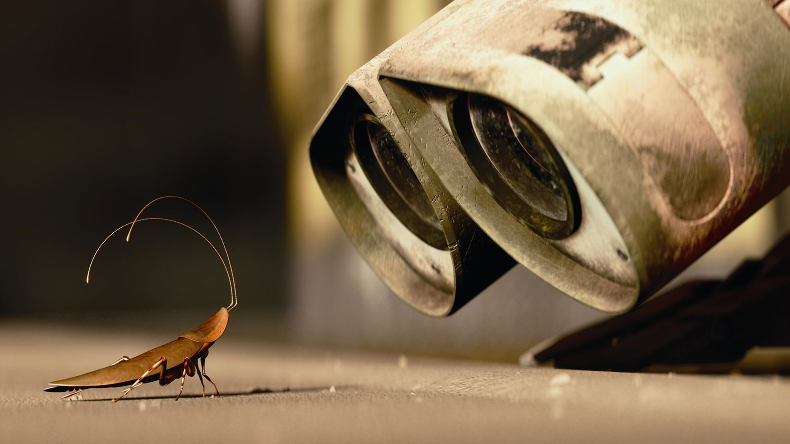 How Much Do You Remember from Elementary School Science? Wall E Cockroach