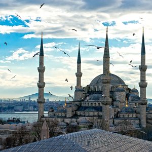 Only a Person With Enough General Knowledge Can Slay This Quiz Turkey