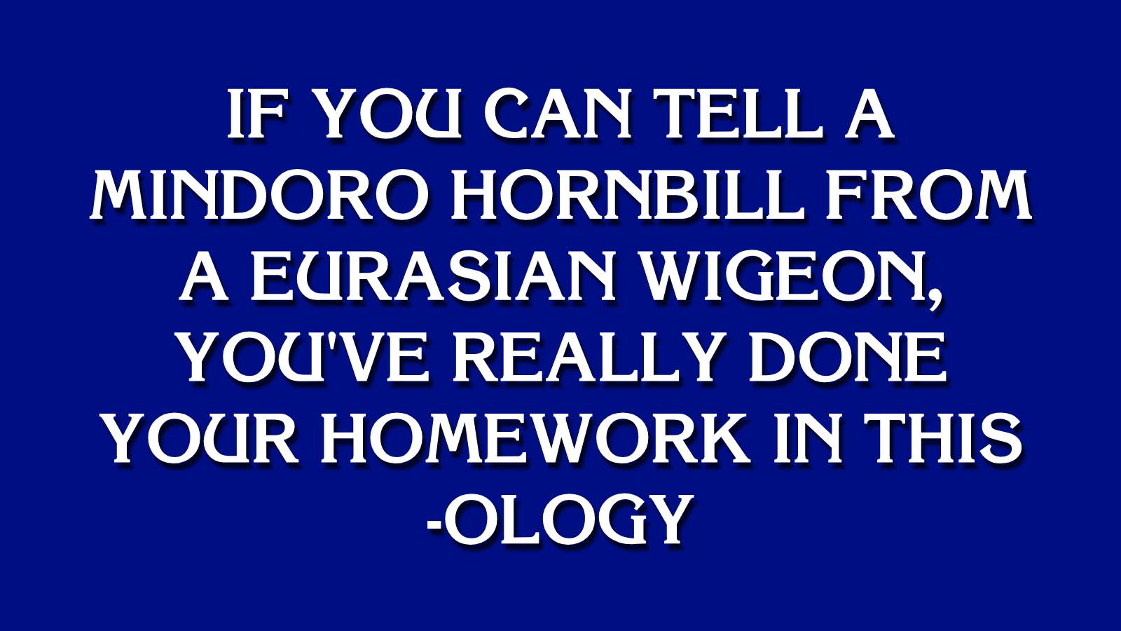 Can You Beat Your Friends in This “Jeopardy!” Quiz? Template Jeopardy 13