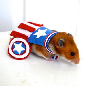 Everyone Has an Avenger They Belong With — Here’s Yours 