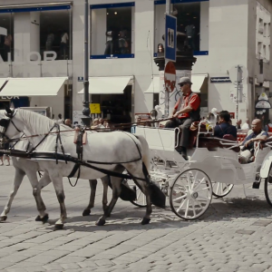 What % Dateable Are You? Quiz Horse carriage