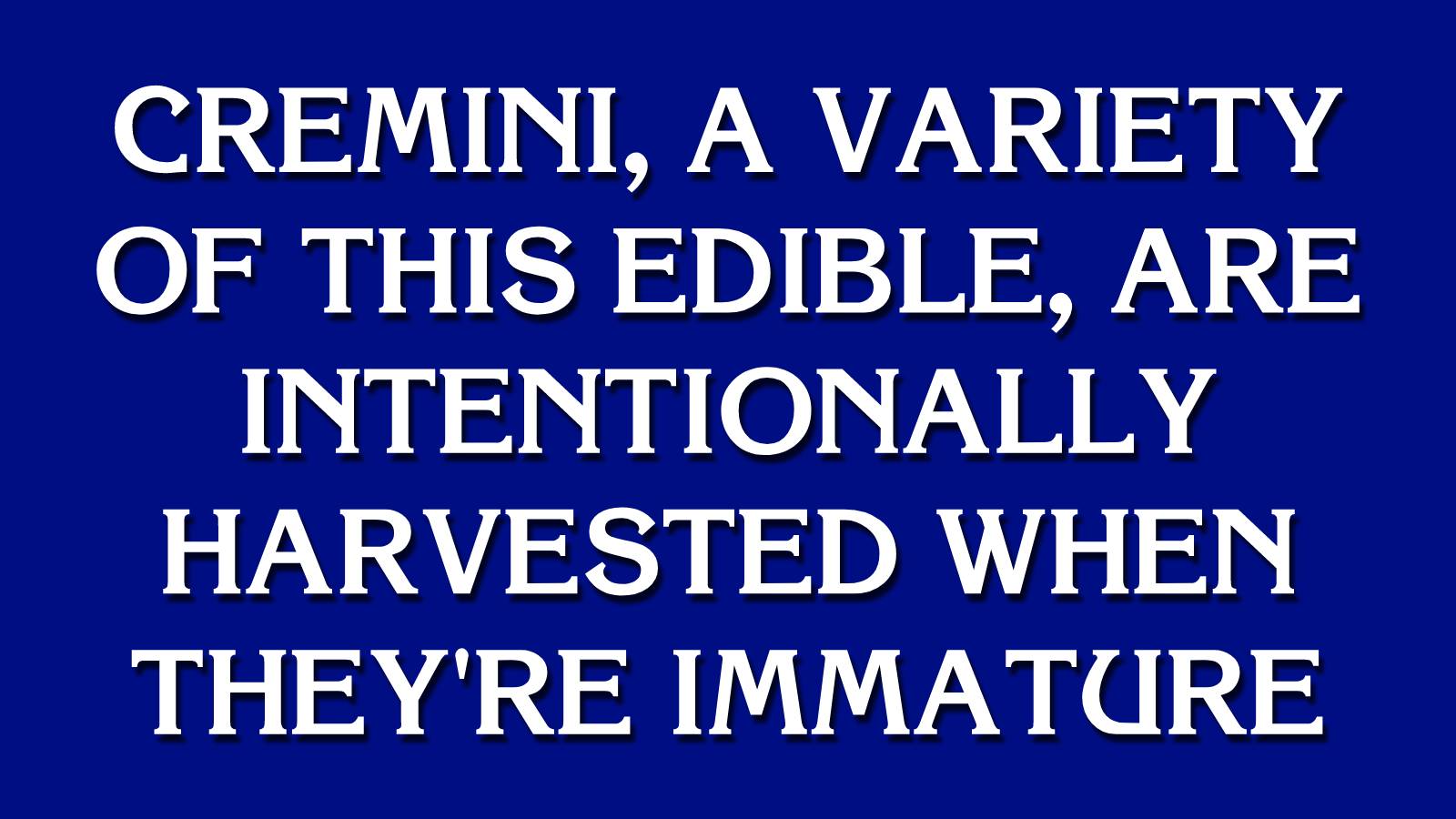 Do You Have the Smarts to Win This Game of “Jeopardy!”? Template Jeopardy 141