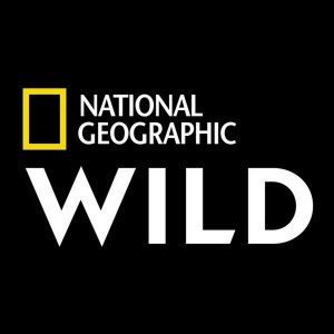 Do You Have The Smarts To Win This Game Of Jeopardy!? Quiz What is Nat Geo Wild?