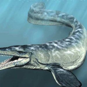 Everyone Has a Badass Woman from History Who Matches Their Personality — Here’s Yours Mosasaur