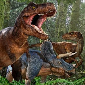 Everyone Has a Badass Woman from History Who Matches Their Personality — Here’s Yours Dinosaur