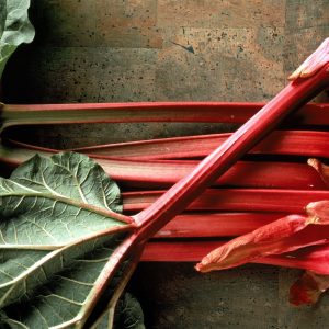 If You Can Get 100% On This 25-Question Mixed Knowledge Test, Your Intelligence Leaves Me Speechless Rhubarb