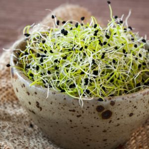 🍔 How You Order Your Burgers Will Determine How Tall You Are Alfalfa sprouts