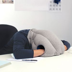 Which Chill Disney Princess Are You? Quiz Napping pillow