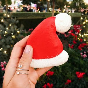Which Chill Disney Princess Are You? Quiz Santa Hat Macaron