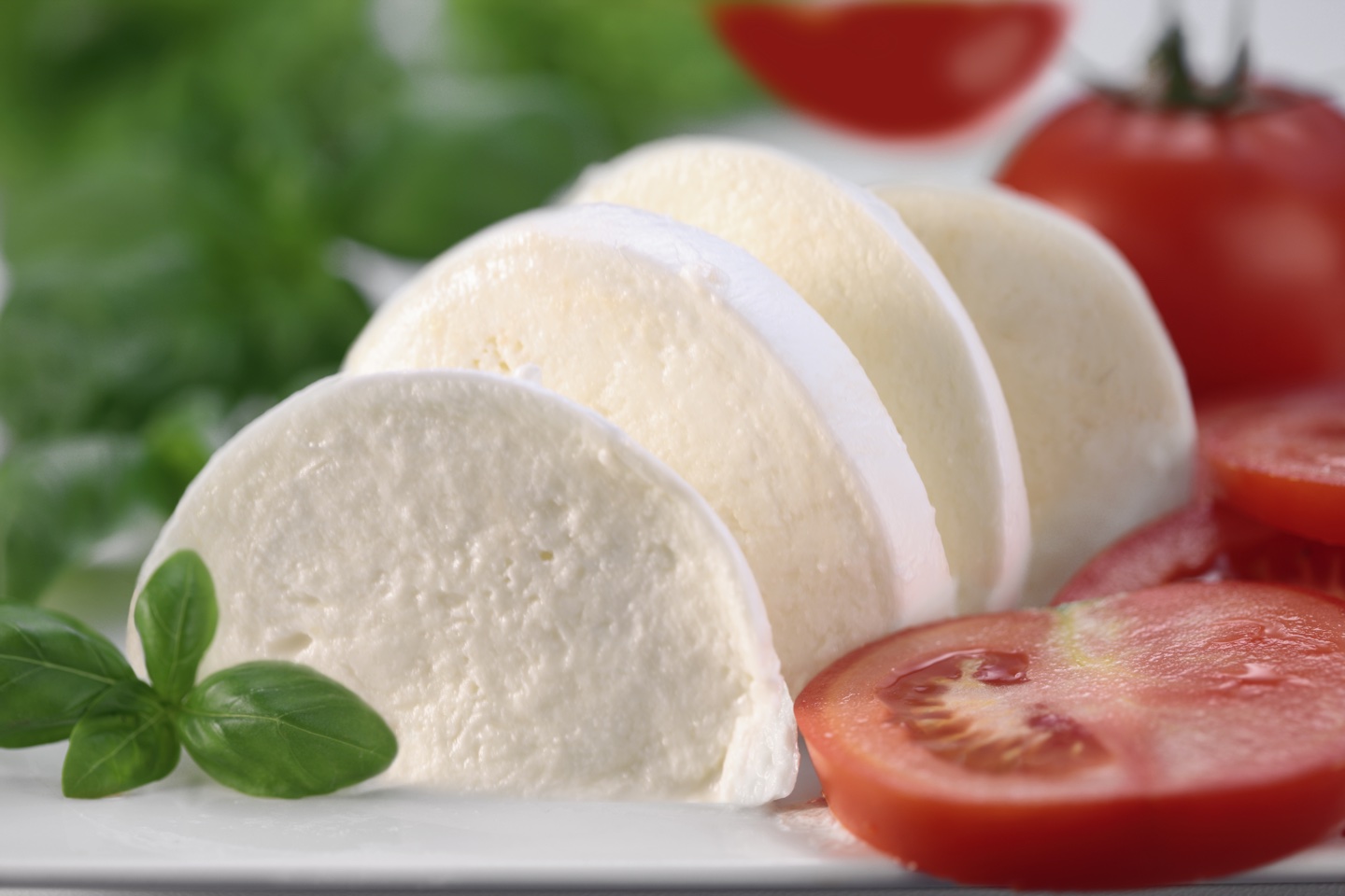 You got: Mozzarella! What Cheese Are You? 🧀