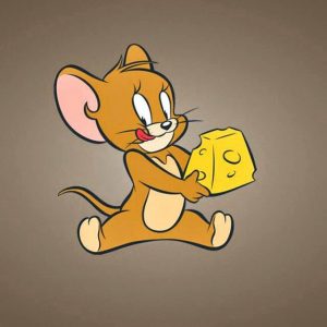 🧀 Everyone Has a Cheese That Matches Their Personality — Here’s Yours Jerry