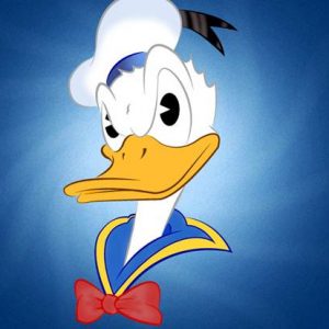 👑 Your Disney Character A-Z Preferences Will Determine Which Disney Princess You Really Are Donald Duck