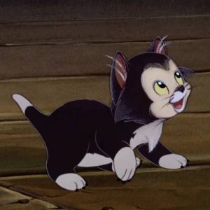 👑 Your Disney Character A-Z Preferences Will Determine Which Disney Princess You Really Are Figaro the Cat