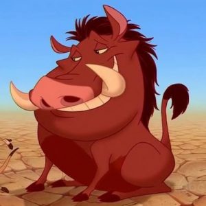 👑 Your Disney Character A-Z Preferences Will Determine Which Disney Princess You Really Are Pumbaa