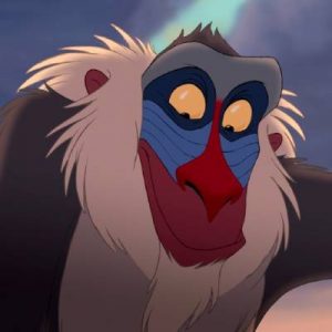 👑 Your Disney Character A-Z Preferences Will Determine Which Disney Princess You Really Are Rafiki