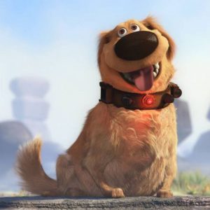 Disney Animals And Princesses Quiz Dug from Up