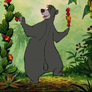 Hundred Trivia Questions Quiz Baloo