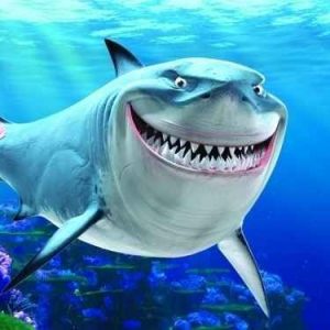Disney Animals And Princesses Quiz Steve from Finding Nemo