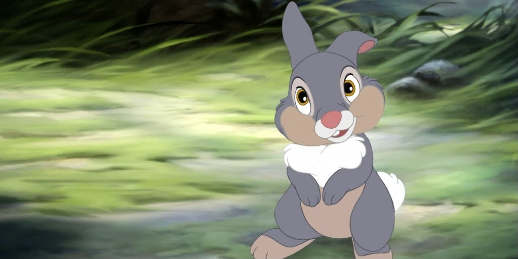 Disney Animals And Princess Quiz Thumper rabbit