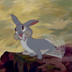 Disney Animals And Princesses Quiz Thumper from Bambi