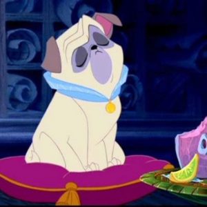 Disney Animals And Princesses Quiz Percy from Pocahontas