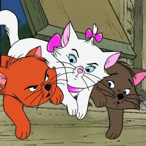 Black Cat Quiz The Aristocats