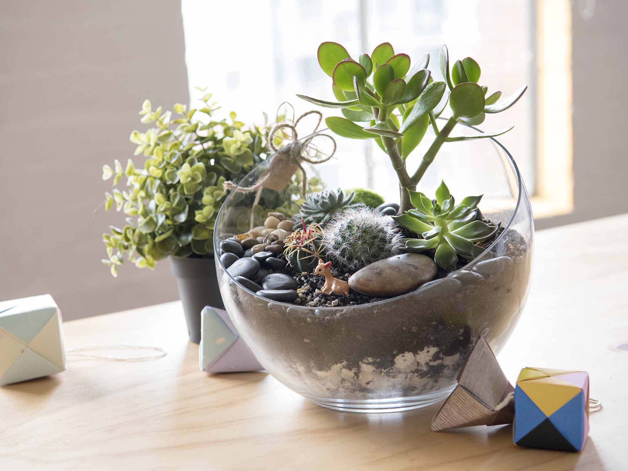 Only a Trendy Person Will Like at Least 10/19 of These Things Terrarium