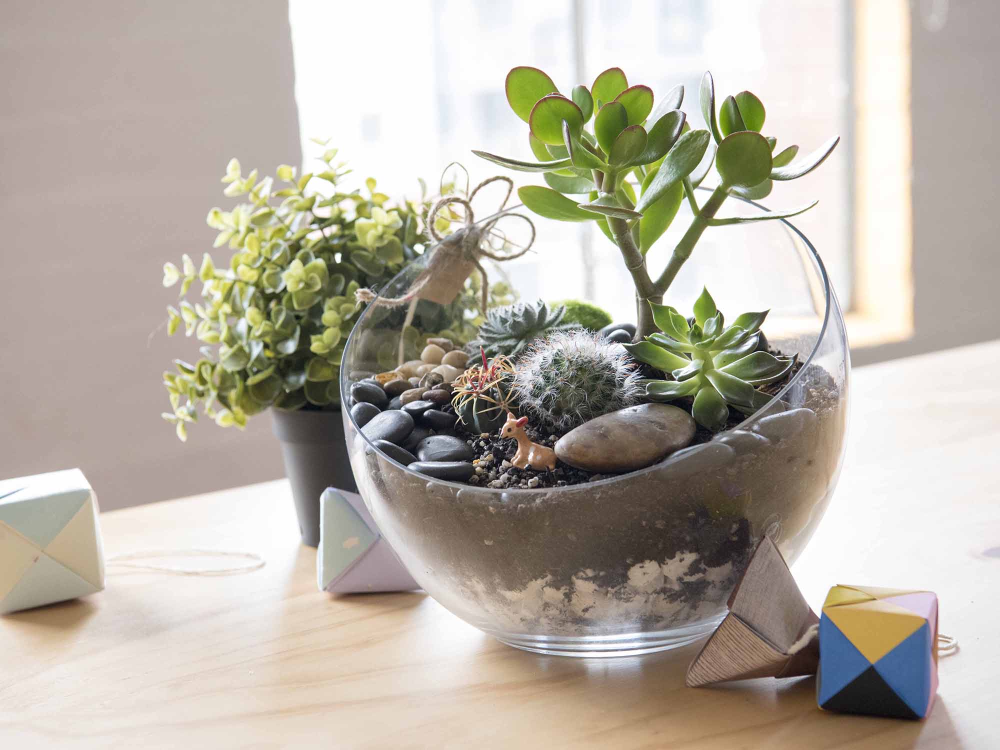 Only a Trendy Person Will Like at Least 10 of Things Quiz Terrarium