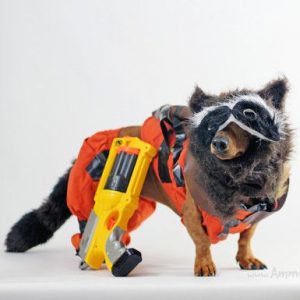Everyone Is a Combo of One Disney and One Marvel Character — Here’s Yours Rocket Racoon