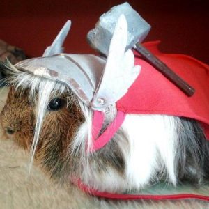 Everyone Is a Combo of One Disney and One Marvel Character — Here’s Yours Thor