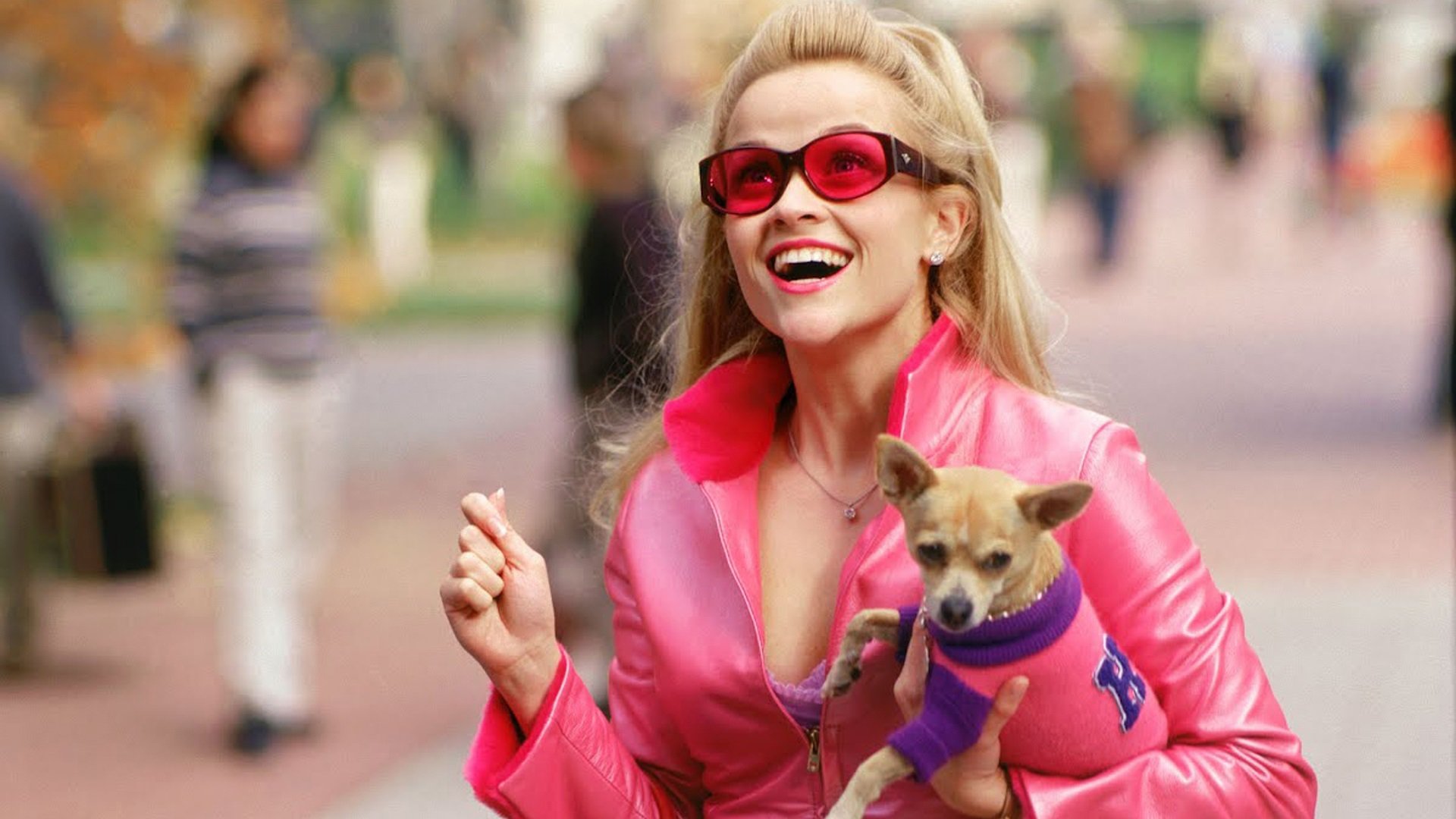 Sorry Gen Z’ers, Only Millennials Will Have Seen at Least 17/33 of These Movies Legally Blonde 2001