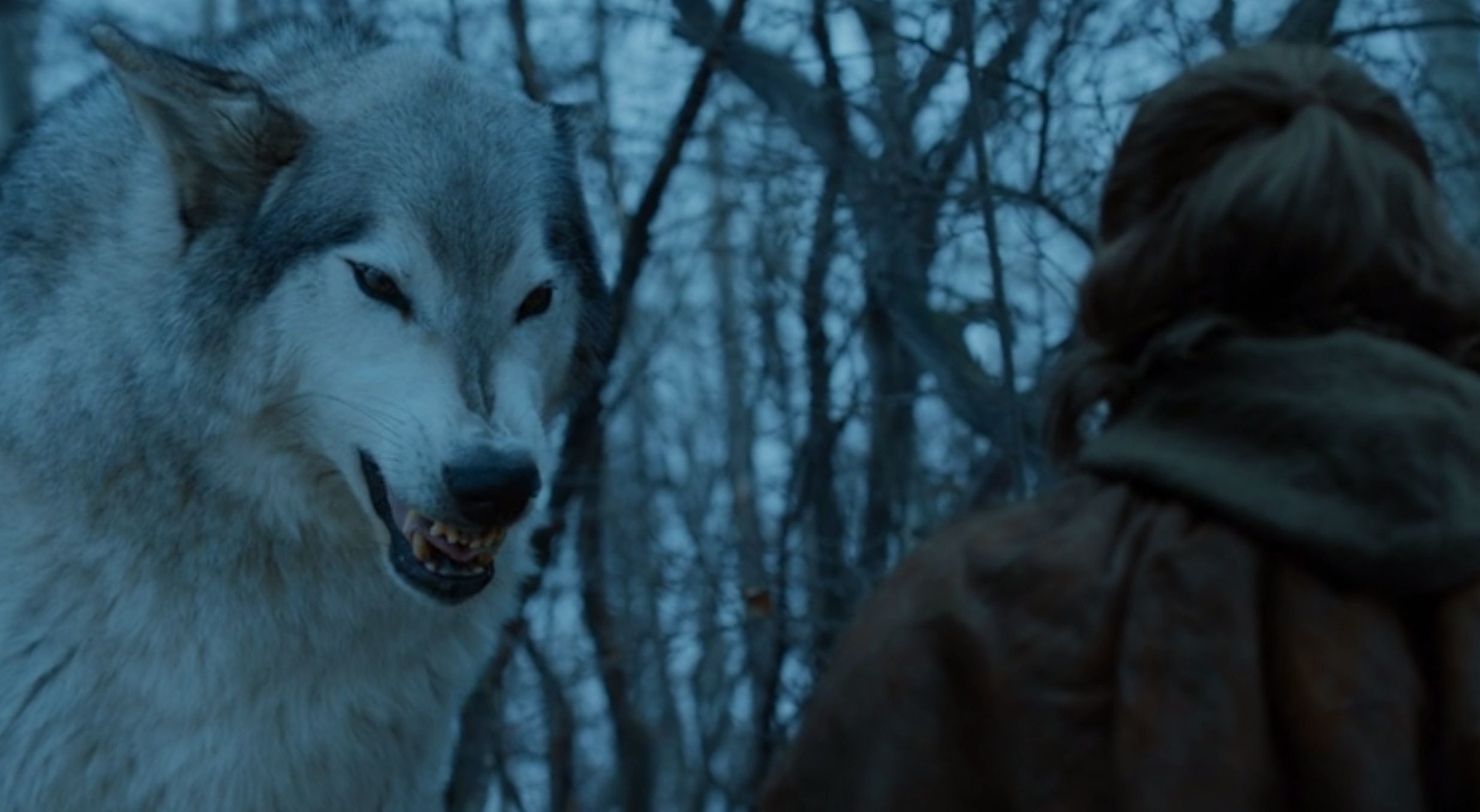Which Game Of Thrones House Am I? Direwolves