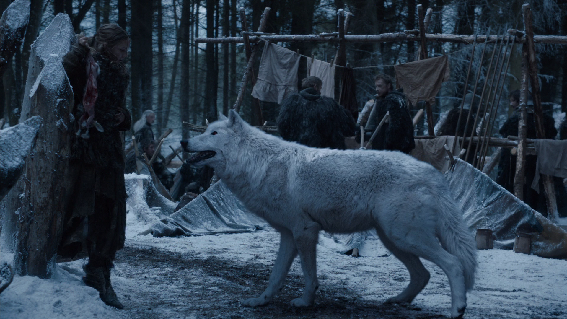 Which Game Of Thrones House Am I? ghost is one of the two remaining dire wolves on game of thrones