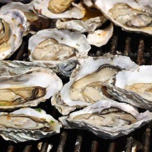 Plan for an Apocalypse and We’ll Tell You How Long You Would Survive Oysters