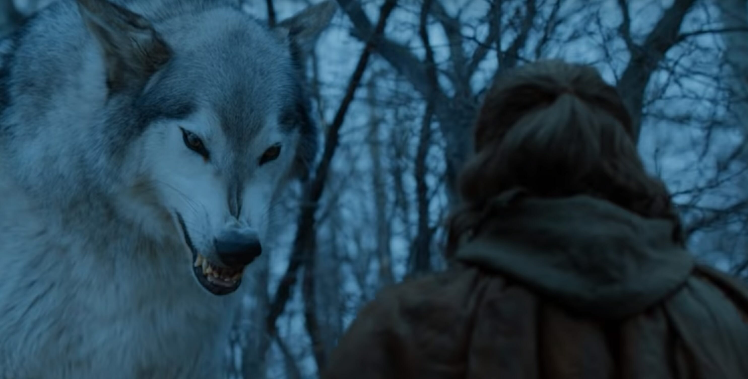 Which Game Of Thrones Character Are You? Direwolf Game of Thrones