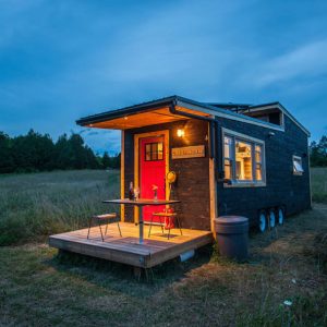 🌳 Are You a Tree Hugger or Planet Polluter? An off-grid tiny home