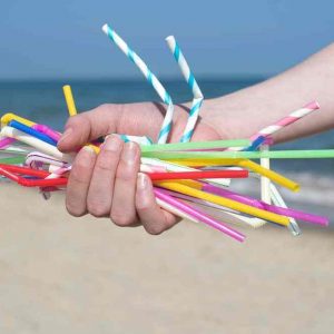 🌳 Are You a Tree Hugger or Planet Polluter? Ban the use of plastic straws