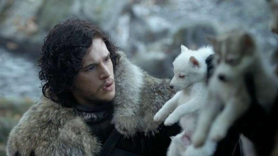 The Hardest Marvel and “Game of Thrones” Combo Quiz Direwolves