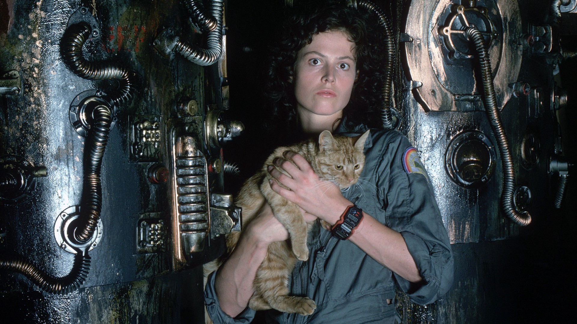 Can You Identify These Movies by Just One Frame? Alien