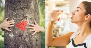 🌳 Are You a Tree Hugger or Planet Polluter? Quiz